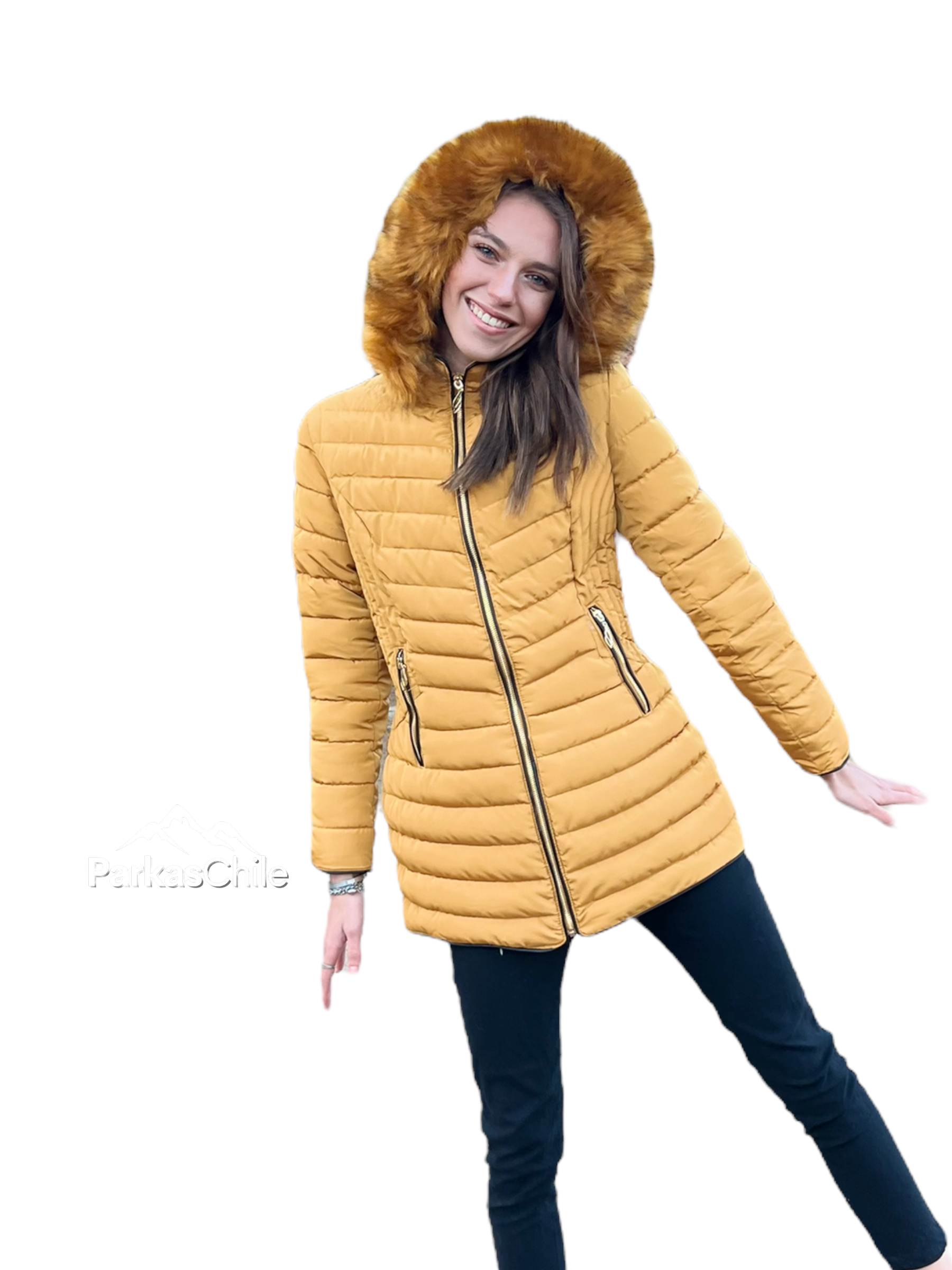 alikamostaza3